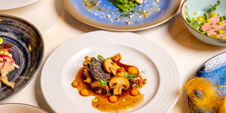 Degustační 11chodové menu pro dva: terina, bliny, mořský vlk, dušené hovězí i vinné párování