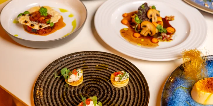 Degustační 11chodové menu pro dva: terina, bliny, mořský vlk, dušené hovězí i vinné párování