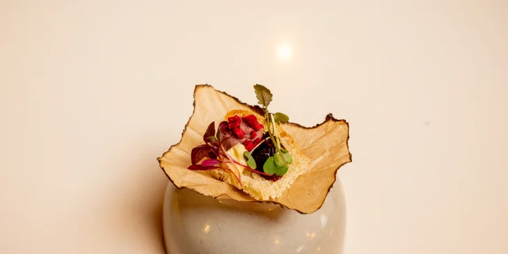 Degustační 11chodové menu pro dva: terina, bliny, mořský vlk, dušené hovězí i vinné párování