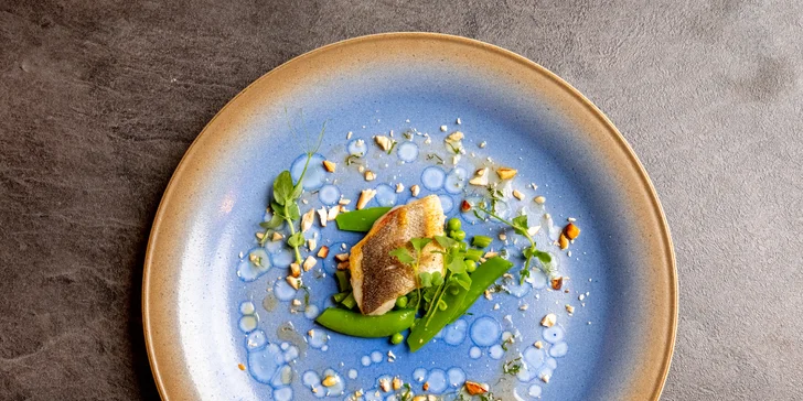 Degustační 11chodové menu pro dva: terina, bliny, mořský vlk, dušené hovězí i vinné párování