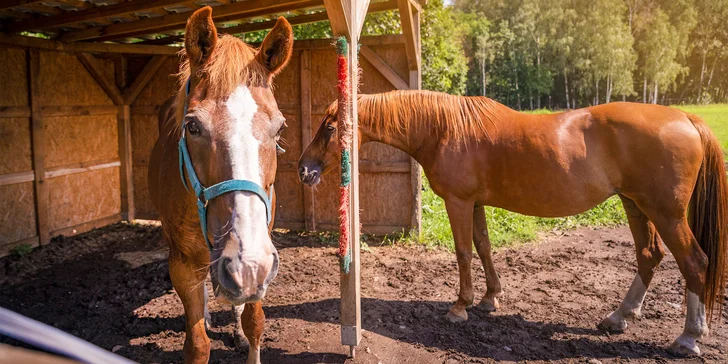 Pobyt v Klášterci nad Ohří se snídaní, košem dobrot i projížďkou na koni
