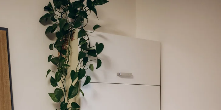 Privátní wellness apartmán pro dva: vstup na 4 hodiny nebo 1 noc plná relaxace