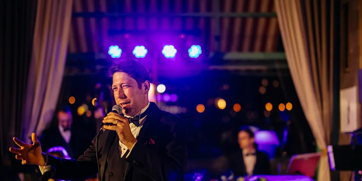 Sinatra Tribute: koncert s hity Franka Sinatry i tříchodová večeře a nápoje v krásném prostředí Mánesu