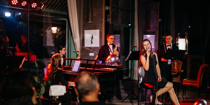 Sinatra Tribute: koncert s hity Franka Sinatry i tříchodová večeře a nápoje v krásném prostředí Mánesu