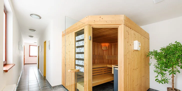 Odpočinek v jižních Čechách: penzion se snídaní nebo polopenzí, bazén, wellness