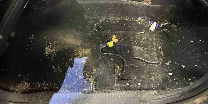 Profesionální čištění vozu: vysátí interiéru, mytí oken i tepování sedaček