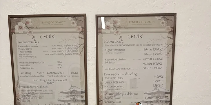 Permanentní make-up: obočí pudrovou či vláskovací metodou nebo rty akvarelovou metodou
