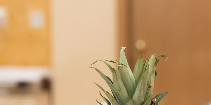 4* pobyt v centru Karlových Varů: ubytování se snídaní, wellness i projížďkou v kočáře