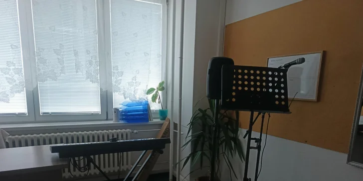 Výuka jevištního projevu i popového a rockového zpěvu pro dospělé či hudební angličtina pro děti