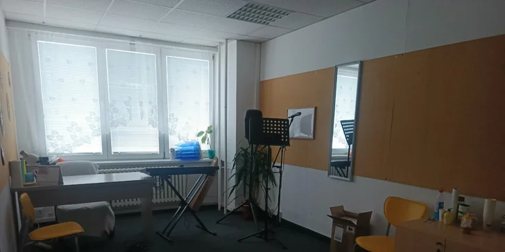 Výuka jevištního projevu i popového a rockového zpěvu pro dospělé či hudební angličtina pro děti