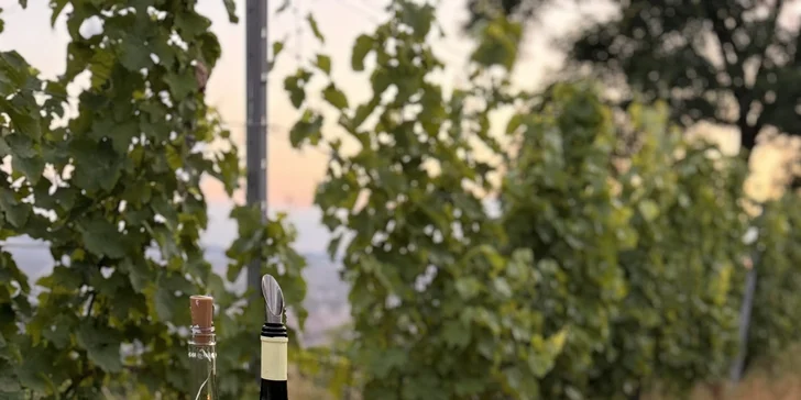 Zážitková večeře uprostřed vinice s degustací, lahví vína a prohlídkou pro dva