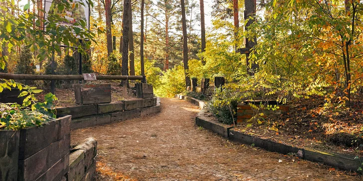 Parádní rodinná dovolená: domky nebo pokoje u jezerní pláže, snídaně i polopenze, wellness