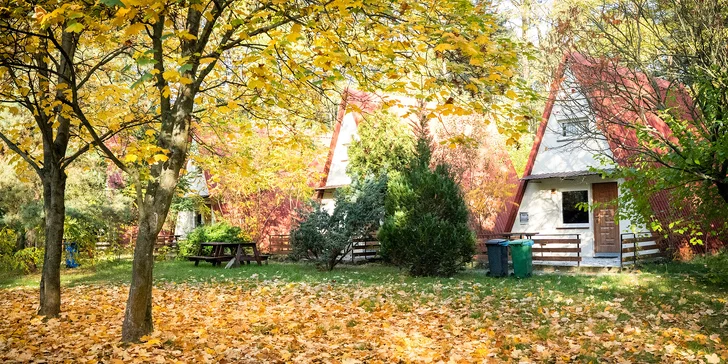 Parádní rodinná dovolená: domky nebo pokoje u jezerní pláže, snídaně i polopenze, wellness