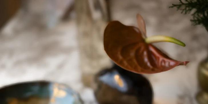 Tříchodové menu i s lahví vína či pivními lázněmi pro 2 osoby