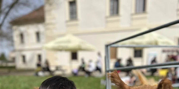 Půjčte si alpaku jen pro sebe a vyrazte na procházku bez doprovodu průvodce