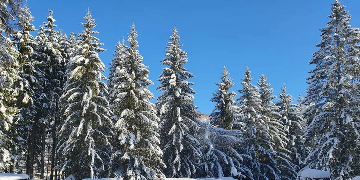 Pobyt v kempu ve Val di Fiemme: mobilní domek, spousta zábavy a výletů