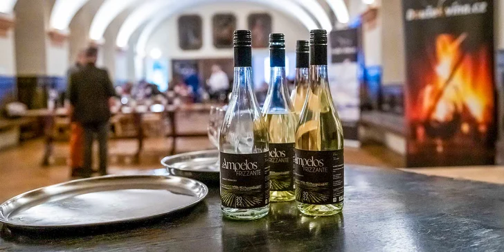 Degustace víc než 7 druhů vín snoubených s čokoládou ve Františkánském klášteře
