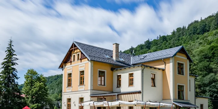Nálož pro milovníky masa: vepřové i kuřecí řízečky, přílohy a pivo Holba pro 2 i 4 osoby