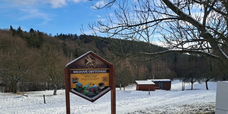 Netradiční ubytování v luxusně vybaveném včelíně s apiterapií jako bonus: možnost rybolovu, minibar