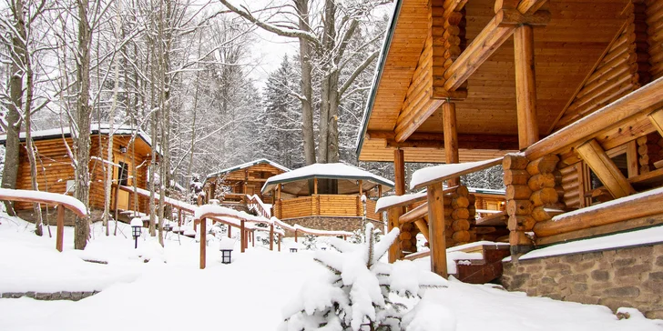 Bavorský les: polopenze, wellness se saunovou vesničkou a karta hosta – atrakce zdarma či se slevou