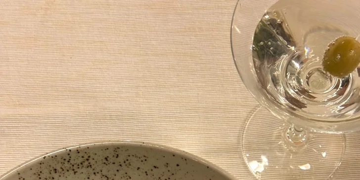 250–1 000 Kč na jídlo i nápoje v restauraci Viktoria Soul s českou a italskou kuchyní
