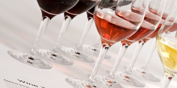 Certifikovaný vinařský kurz včetně degustace a občerstvení
