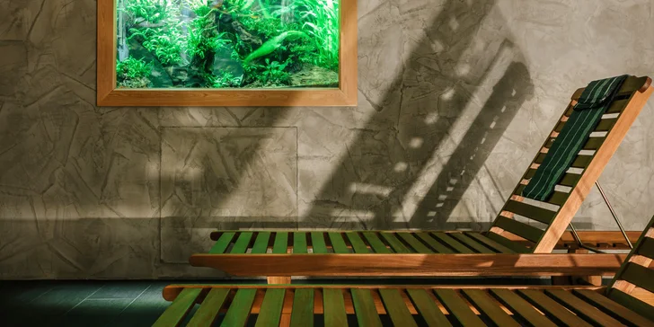 60 min. masáže dle výběru a 30 min. wellness v Sauna Central