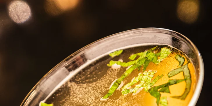 Barmanské kurzy v Tretter´s Bartending Academy v Obecním domě: 4hodinový nebo 5denní