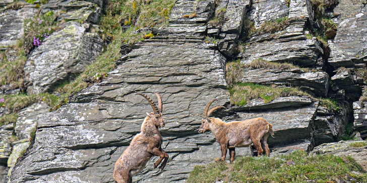 Cesta k alpským vrcholkům: Grossglockner, Orlí hnízdo a Berchtesgaden, busem, 1 noc se snídaní