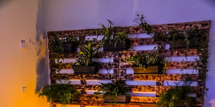 Privátní wellness se sektem i zákusky a romantickou výzdobou: 2 až 4 hodiny pro 2 osoby