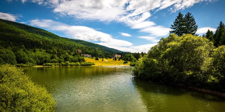 Krásný domek na stromě s velkou terasou: relax a romantika uprostřed tiché přírody