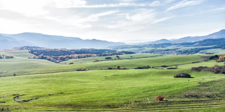 Krásný domek na stromě s velkou terasou: relax a romantika uprostřed tiché přírody