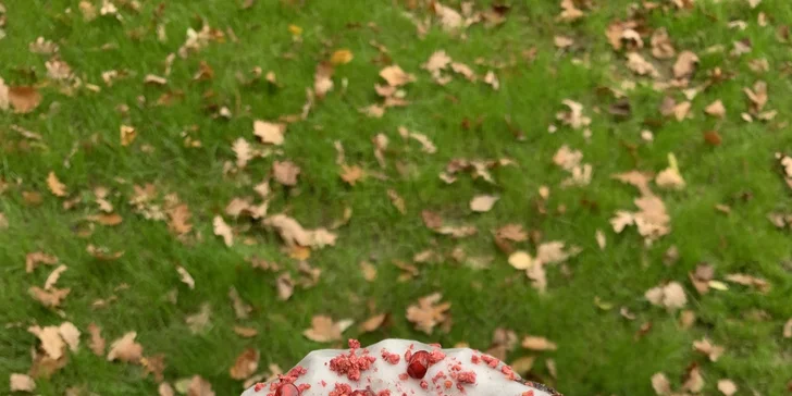 Velké veganské menu: polévka, hlavní chod, salát i domácí buchta