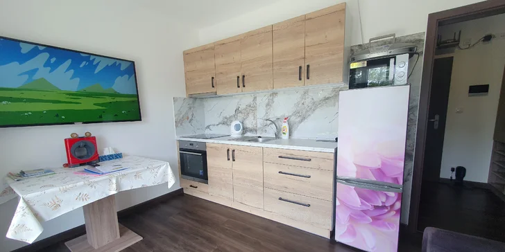 Pohodová dovolená: zcela nový apartmán na břehu Malého Lipna, předzahrádka