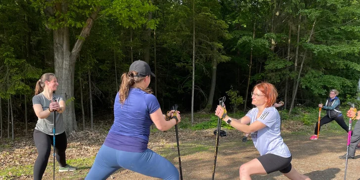 Skupinová nebo individuální lekce nordic walking na Vysočině