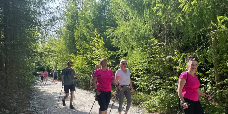 Skupinová nebo individuální lekce nordic walking na Vysočině