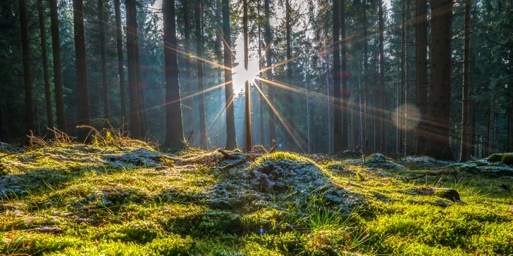 Pohodový pobyt v bavorské přírodě s all inclusive light pro 2 osoby