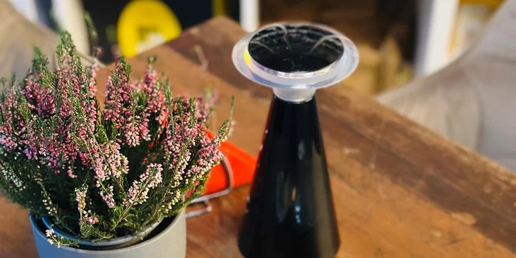 Káva dle výběru a famózní zákusek pro jednoho i dva v karlínské vinárně Wine Rebels