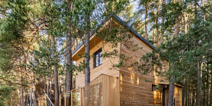 Nová nádherná chata v přírodě jižních Čech: rybník, sauna i sport a zábava