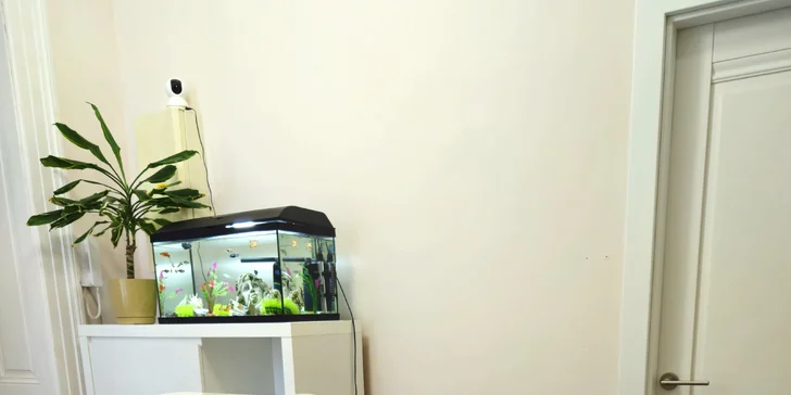 Řasy podle nejnovějších trendů: prodloužení metodou řasa na řasu, 2D až 7D
