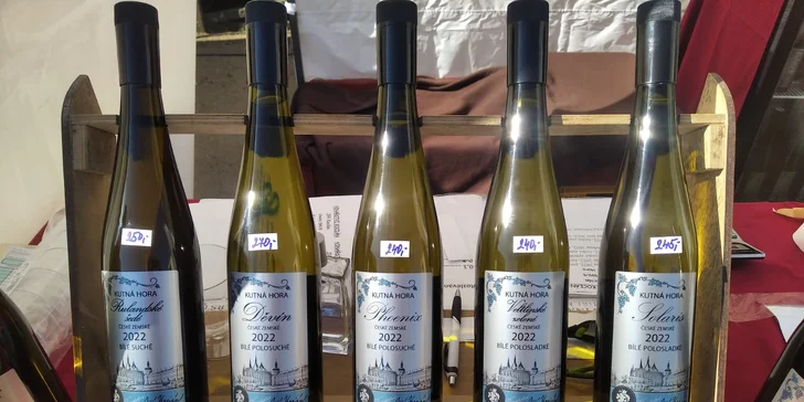 Řízená degustace vín ve Vinařství Kocián: objevte jedinečné chutě Kutné Hory