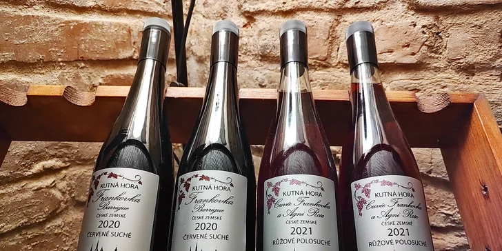 Řízená degustace vín ve Vinařství Kocián: objevte jedinečné chutě Kutné Hory