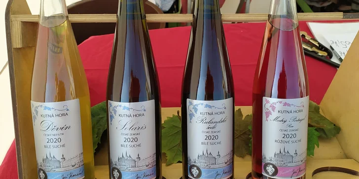 Řízená degustace vín ve Vinařství Kocián: objevte jedinečné chutě Kutné Hory
