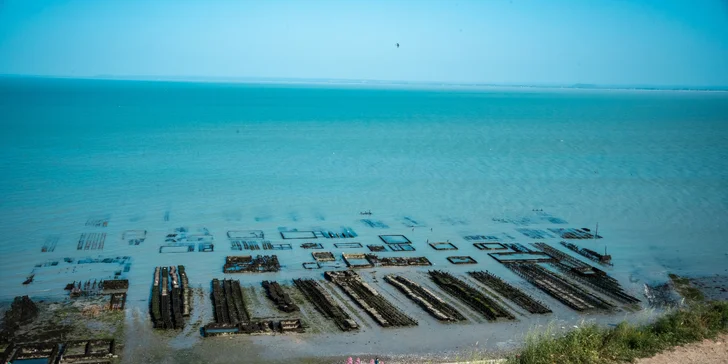 Poznávací zájezd do Normandie a Bretaně: umění, historie a gastro zážitky, 4 noci se snídaní