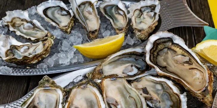 Poznávací zájezd do Normandie a Bretaně: umění, historie a gastro zážitky, 4 noci se snídaní