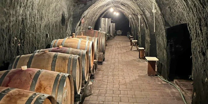 Dovolená na Znojemsku: pobyt se snídaní či bez, možnost degustace vín
