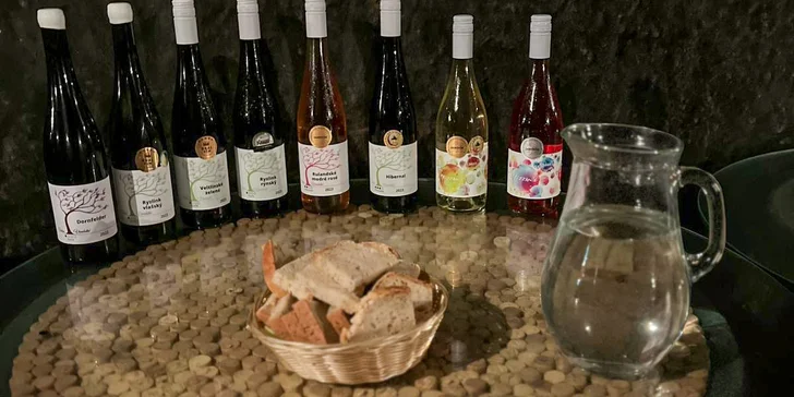 Dovolená na Znojemsku: pobyt se snídaní či bez, možnost degustace vín
