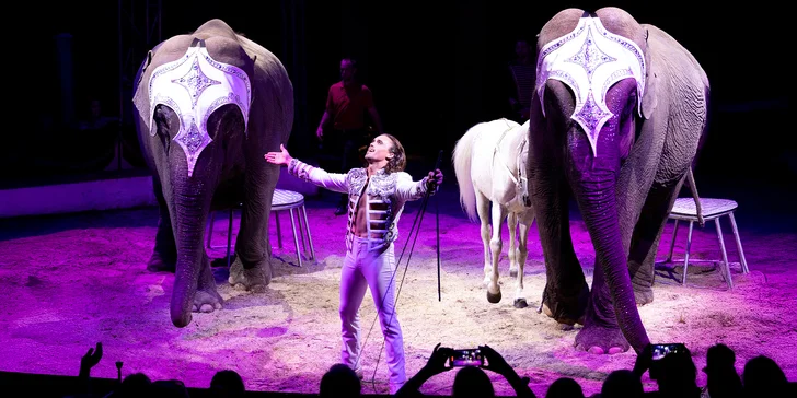 Hurá do Cirkusu Humberto na zbrusu novou show: akrobati, klauni i exotická zvířata v Brně