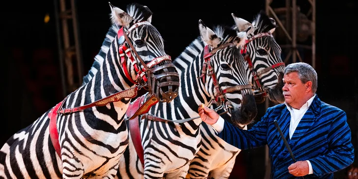 Hurá do Cirkusu Humberto na zbrusu novou show: akrobati, klauni i exotická zvířata v Brně