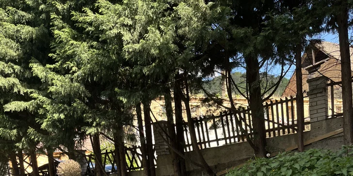 Krásné pokoje u Ústí nad Labem se snídaní až pro 4 osoby